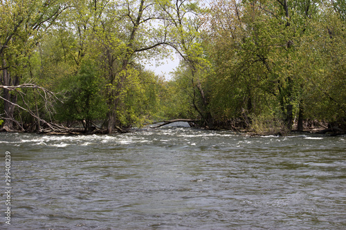Springtime on the Fox River
