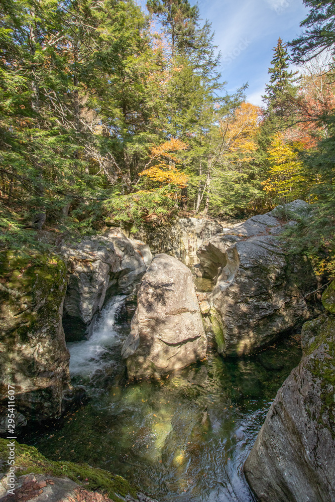 river in the forest