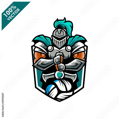 Vector sport logo, knight  illustration and volleyball on the shield background. Logo for sport club or team. Vector illustration