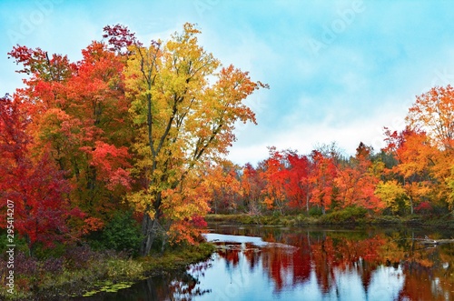 Colorful fall foliage at the edge of a lake