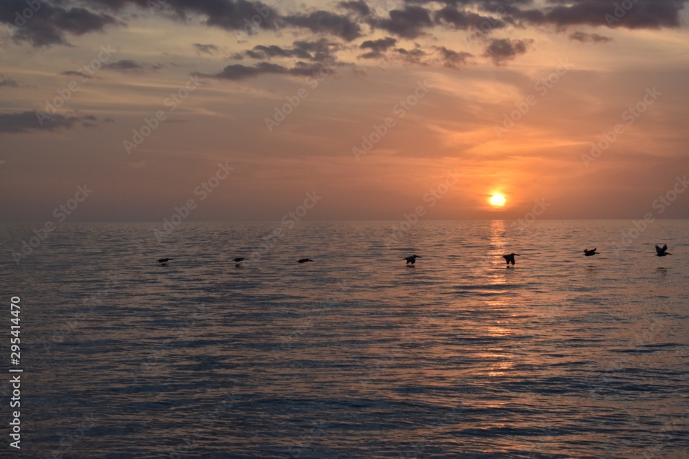 Birds flying over the ocean water at sunset