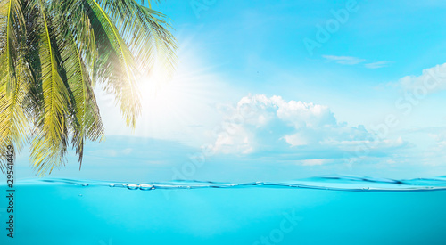 Fototapeta Naklejka Na Ścianę i Meble -  Sea the beach clear water and sky coconut trees with relaxation