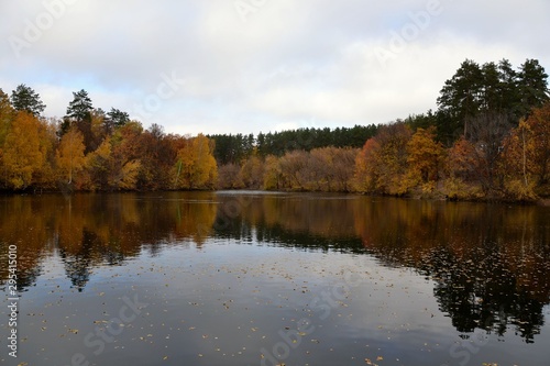 Autumn forest on a cloudy day on the lake