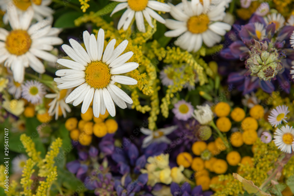 Fototapeta premium floral background.Focus on the daisies, the rest of the flowers are blurred.