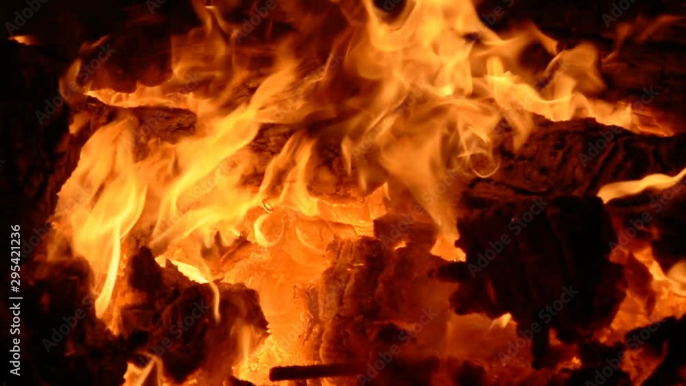 camp fire burning up close macro at night outdoors camp fire burning up close macro at night outdoors