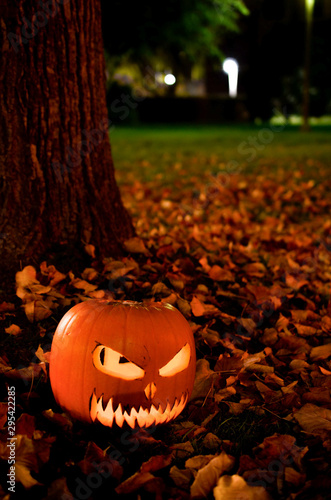 Pumpkin