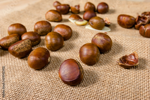 fresh chestnuts with sack bag background.