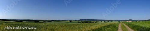 landscape with wheat field and blue sky