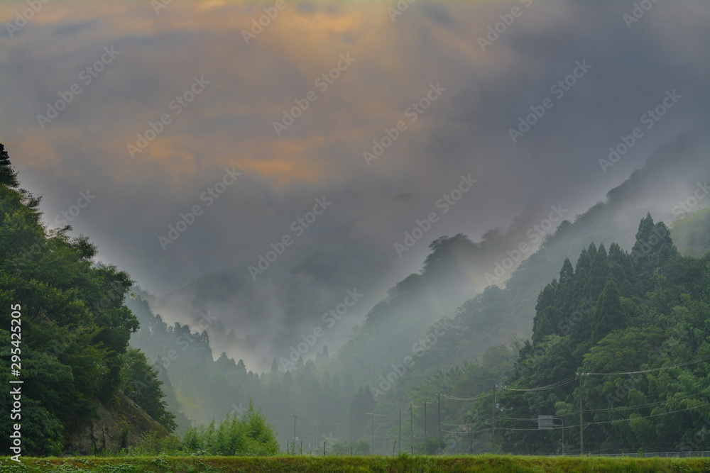 朝霧 朝霧