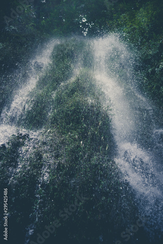 Wallpaper Mural the landscape view of tropical rain forest, nature scene Torontodigital.ca