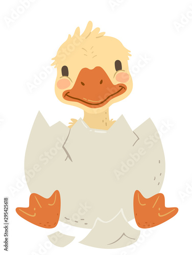 Animal Hatch Egg Duck Illus...