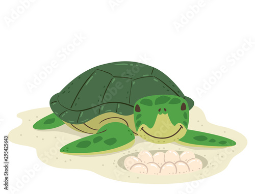Animal Lay Eggs Turtle Illustration