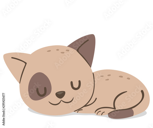 Animal Cat Kitten Sleeping ...