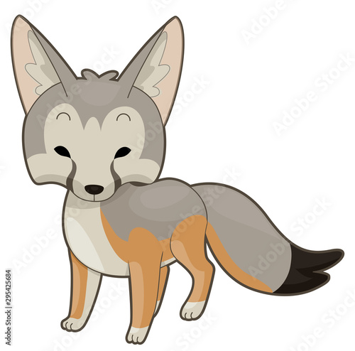 Desert Kit Fox Illustration