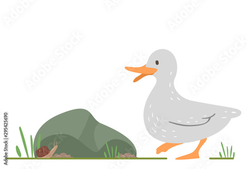 Duck Snail Illustration