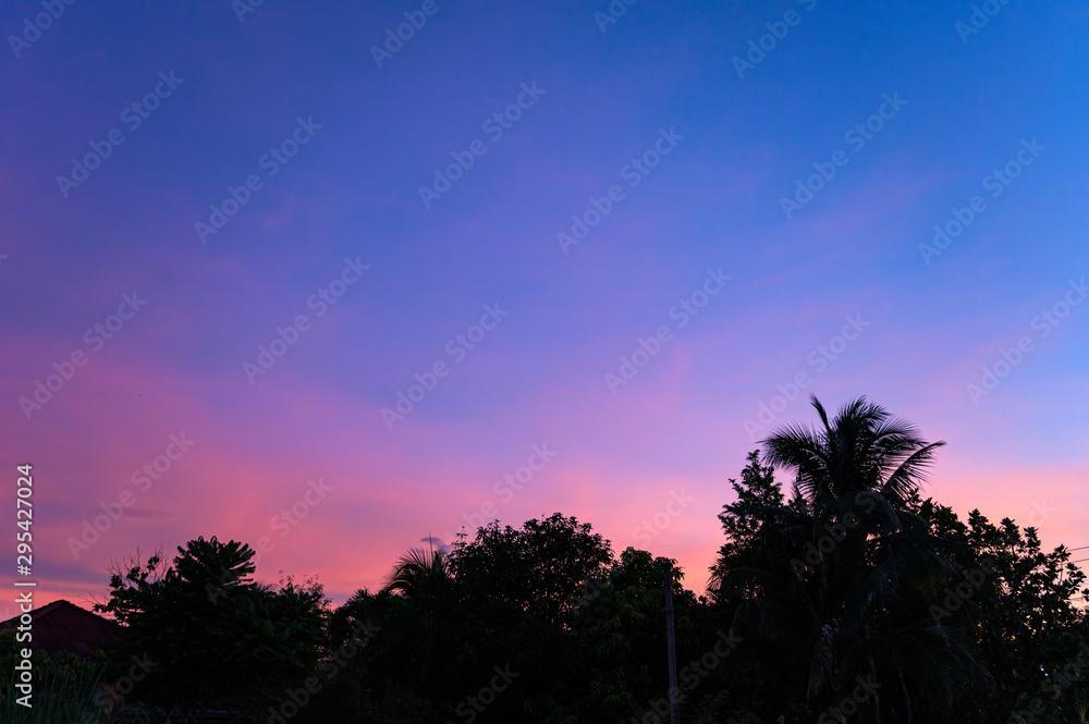 nice amazing sunsets background dark blue purple pink orange sky gradient and cloud and trees