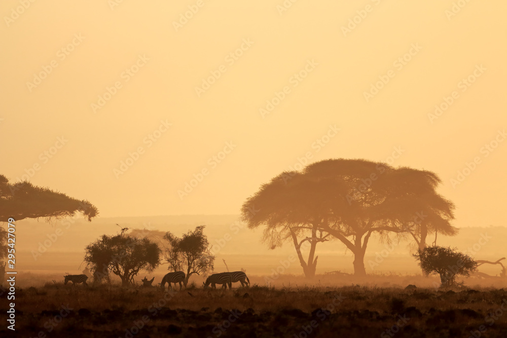 African sunset with silhouetted trees and plains zebras, Amboseli National Park, Kenya.