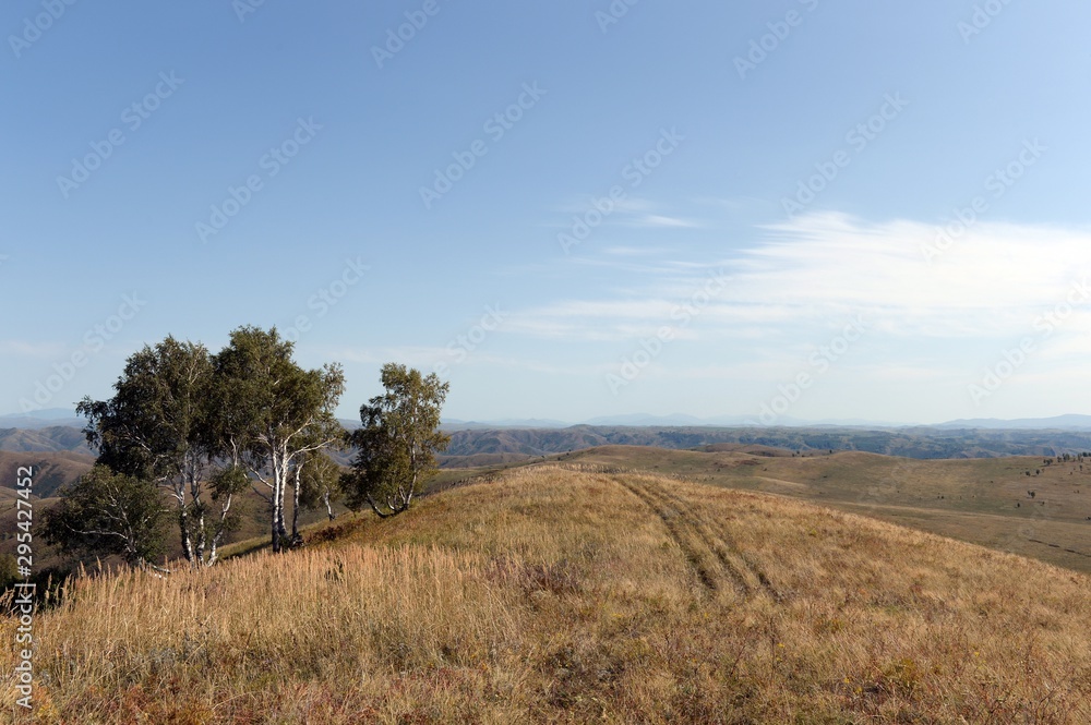 Foothills of the Altai Mountains. Western Siberia. Russia Foothills of the Altai Mountains. Western Siberia. Russia