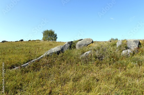 Foothills of the Altai Mountains. Western Siberia. Russia photo