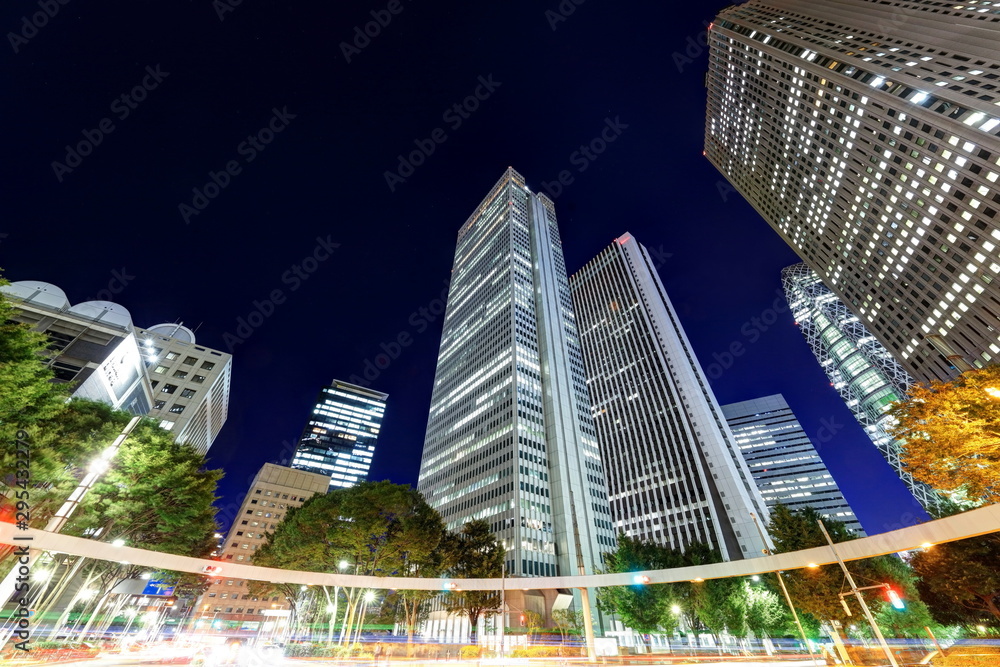 Obraz premium 新宿摩天楼の夜景