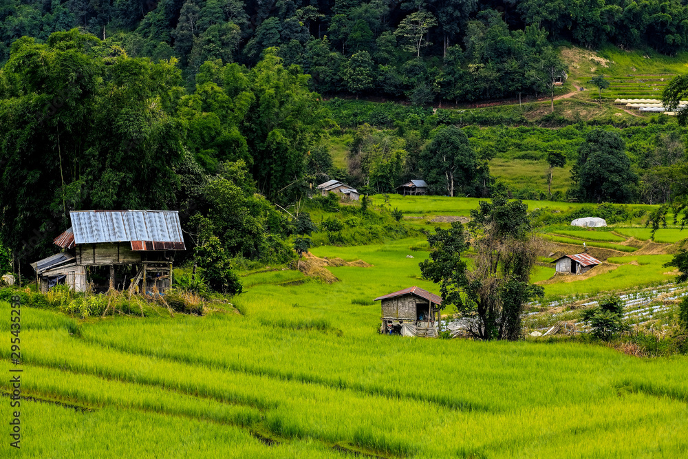 Obraz premium The hut in the fields At the village of Pa Pong Piang in the rainy season