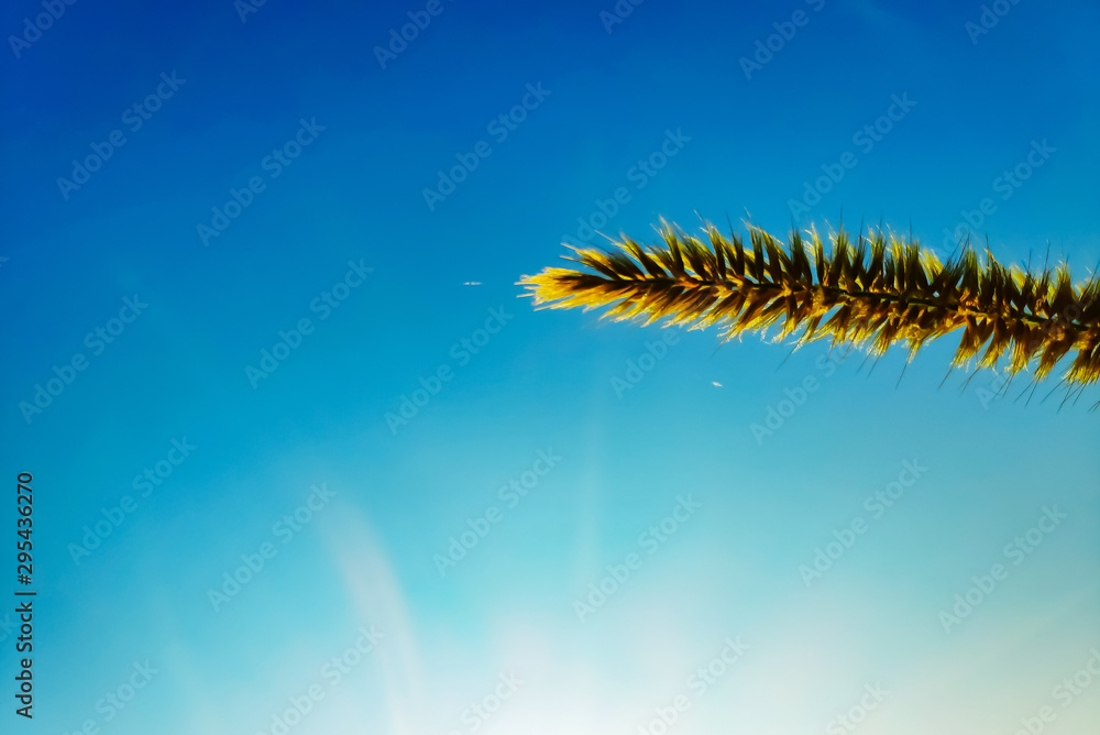caterpillar on branch