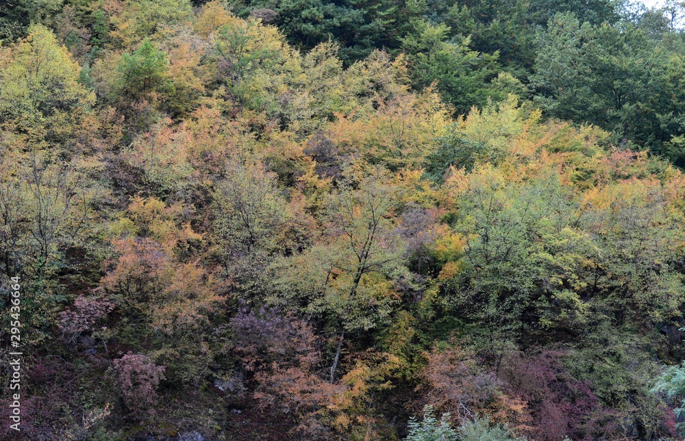 the autumn landscape of nature the autumn landscape of nature
