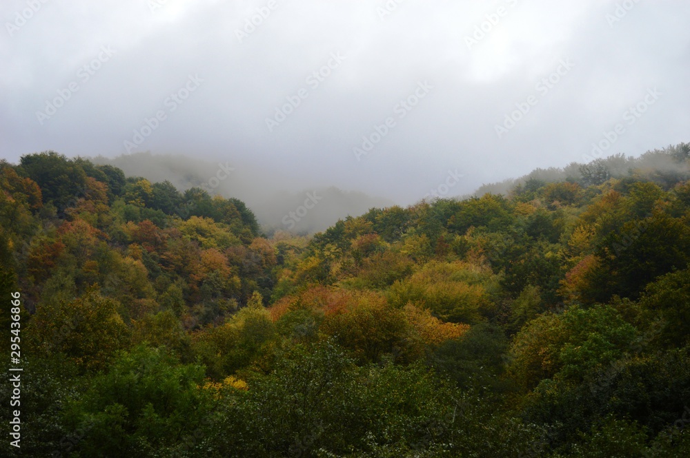 autumn landscape of nature and fog