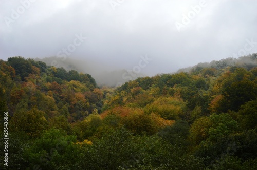 autumn landscape of nature and fog