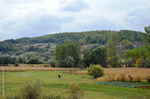 the autumn landscape of nature