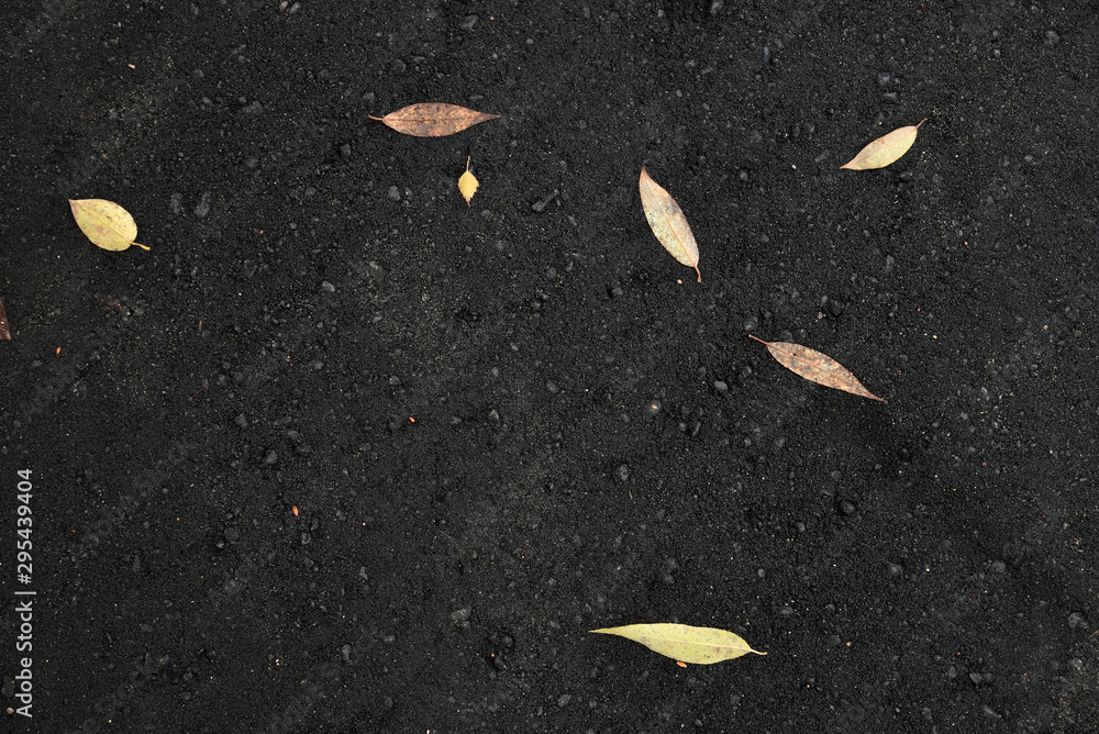Fototapeta premium Yellow autumn leaves on black asphalt