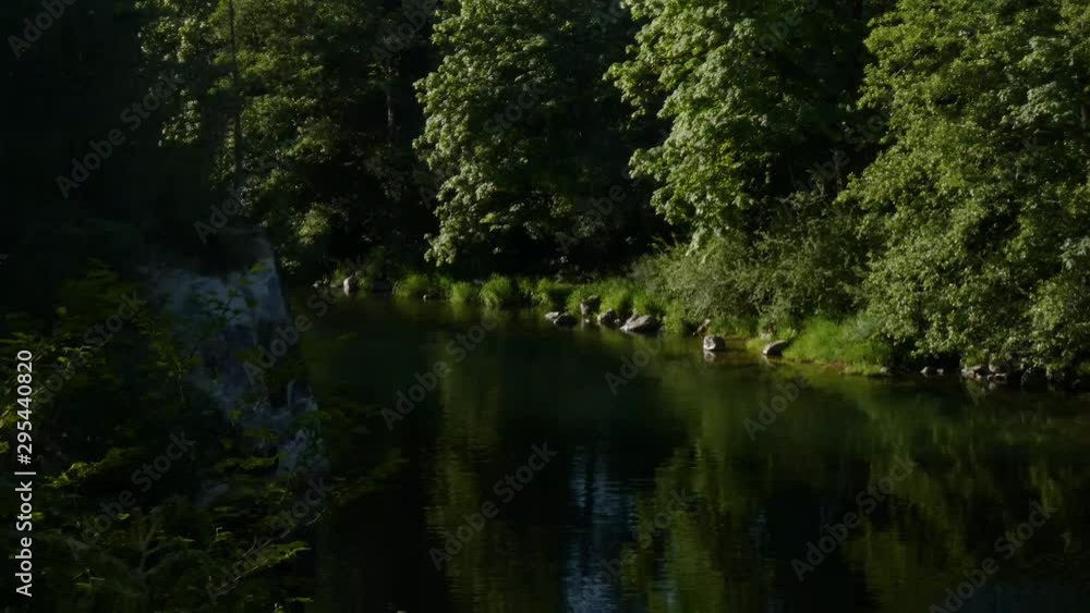 rapid river cutting through a coniferous forest on a bright cloudy day rapid river cutting through a coniferous forest on a bright cloudy day