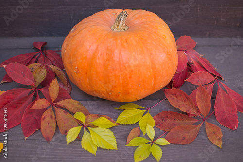 Orange pumpkin on a wooden surface with colorful leaves