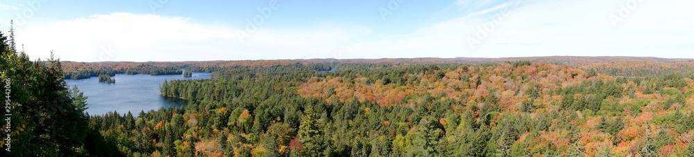 Panorama of the autumnal Algonquin National Park with the Cache Lake. Ontario. Canada