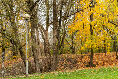 Autumn Trees and Old Lamp Post in a Park
