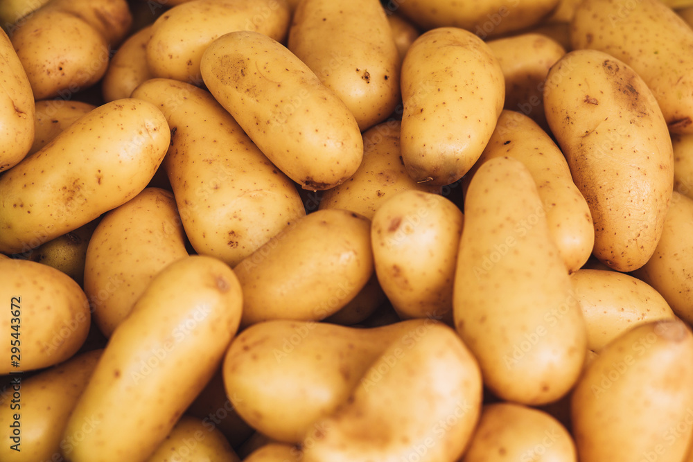 Close up of fresh washed yellow potato tubers - fruit rural market Close up of fresh washed yellow potato tubers - fruit rural market
