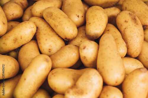 Close up of fresh washed yellow potato tubers - fruit rural market