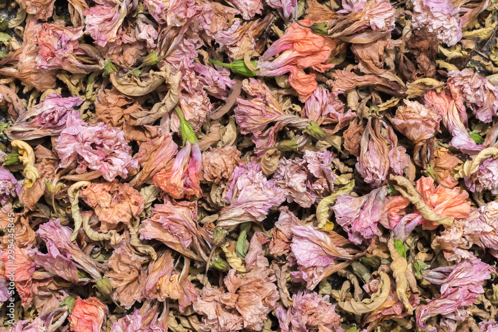 Full frame image of dried pink flowers