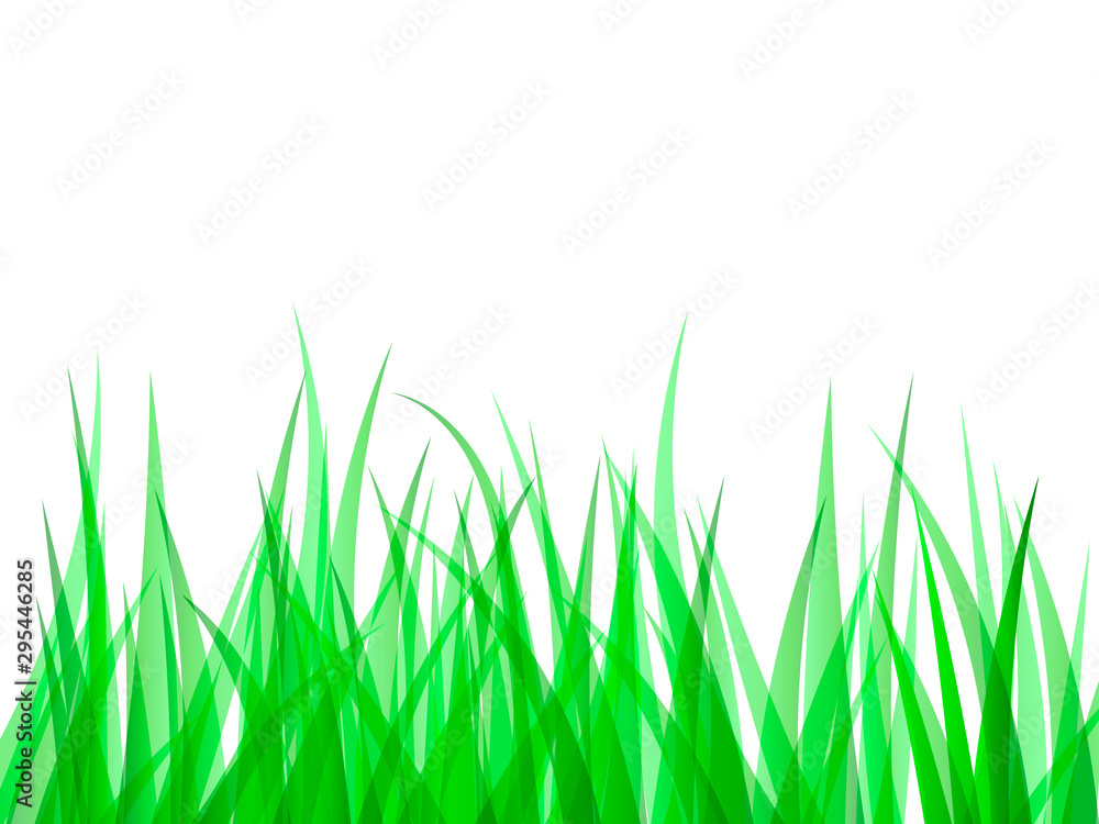 Obraz premium Green grass background. Vector illustration for poster.