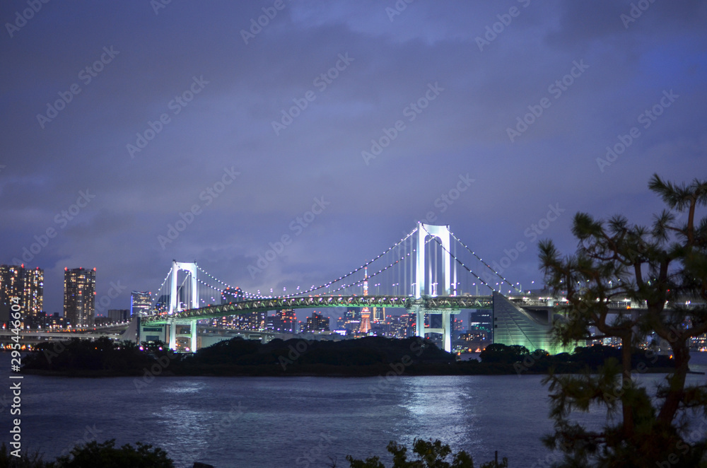 The Night View Of Tokyo. Bridge At Night.