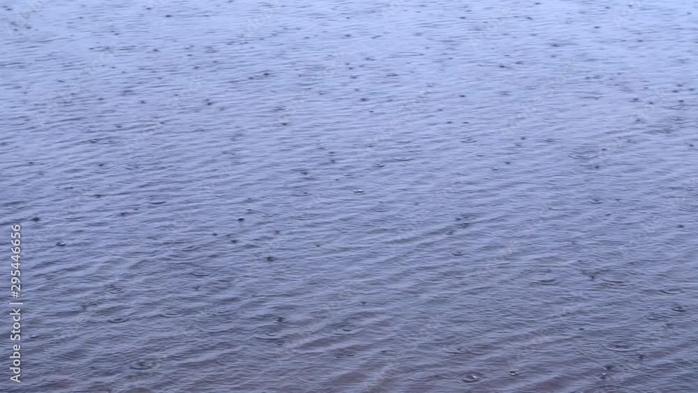 Drops fall into the water and circles diverge. Interference of waves. Rain. The concept of bad rainy weather Drops fall into the water and circles diverge. Interference of waves. Rain. The concept of bad rainy weather