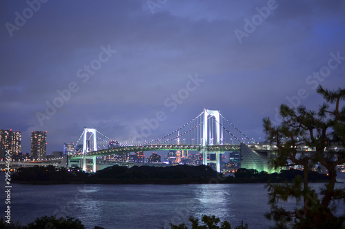 The Night View Of Tokyo. Bridge At Night.