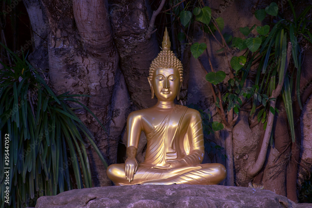 Buddha statue under tree at Wat Phan Tao, Chiang Mai, Thailand