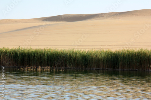 A small Fresh Water Oasis surrounded by Reed and Sand Dunes in the Sahara Desert near Siwa