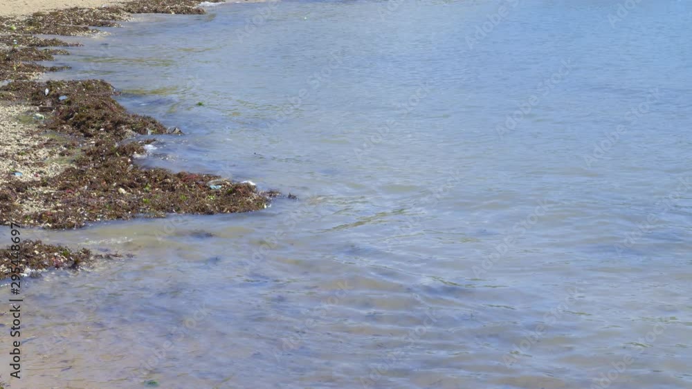 Close up view of dirty beach with a lot of organic and plastic waste in water and waves Close up view of dirty beach with a lot of organic and plastic waste in water and waves