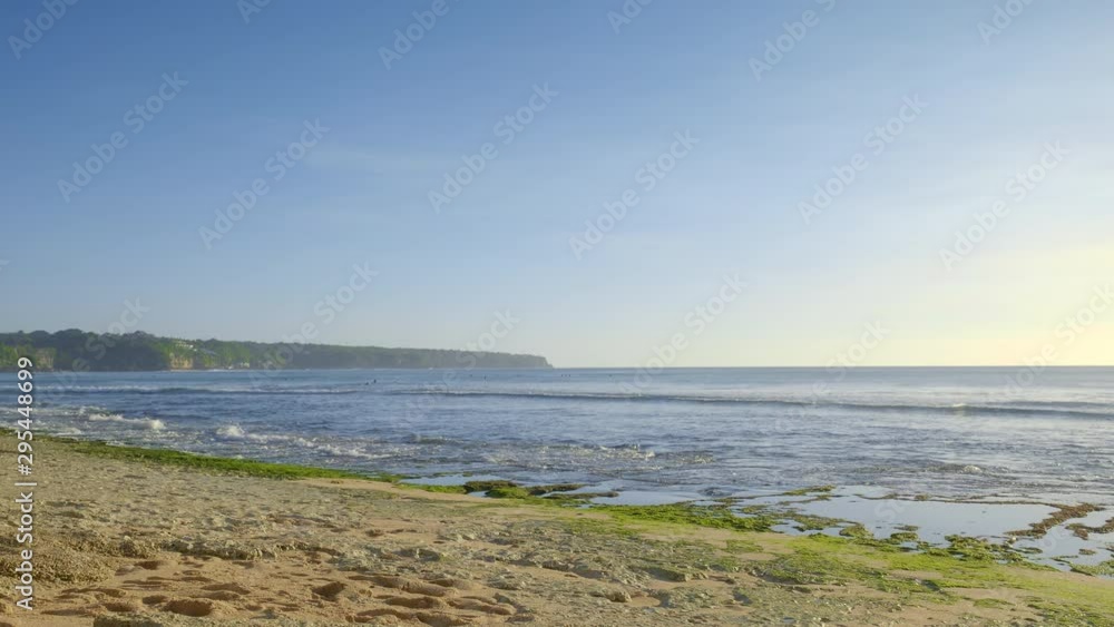 Sandy beach during low tide waves with sea floor covered by green seaweed and surfers are swimming in foggy background with high cliff Sandy beach during low tide waves with sea floor covered by green seaweed and surfers are swimming in foggy background with high cliff
