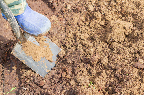 A man drips earth with a shovel in early summer