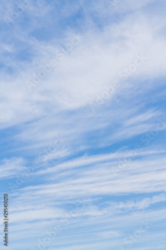 Fototapeta Naklejka Na Ścianę i Meble -  White fluffy clouds in the blue sky in summer