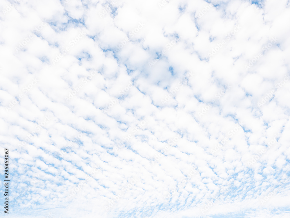 Obraz premium 青空 雲 フリースペース