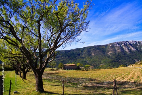 View beyond row of trees on isolated valley with French farm house and mountains background against blue sky with cirrus clouds - Gorges du Verdon, Provence, France